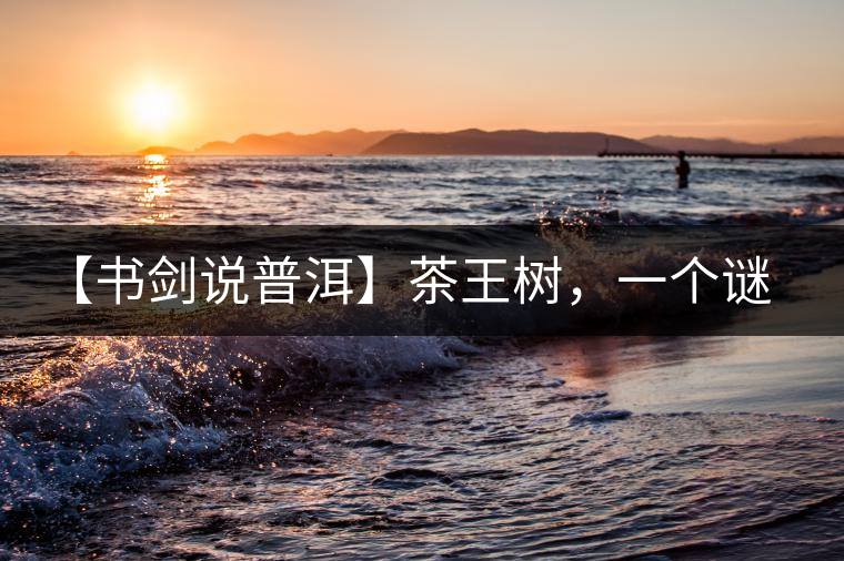 【書劍說普洱】茶王樹，一個謎一樣的地方