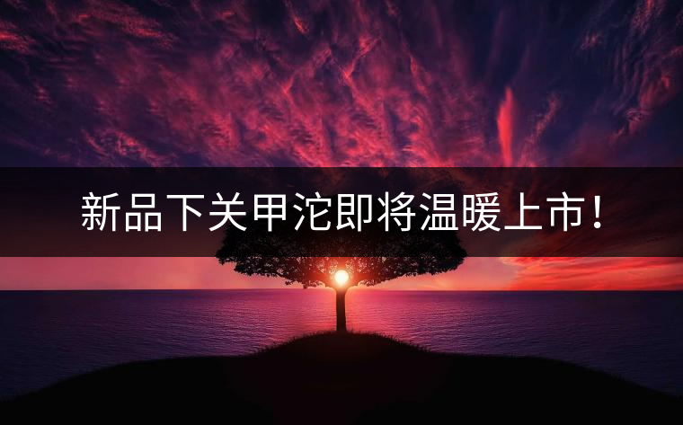 新品下關(guān)甲沱即將溫暖上市！