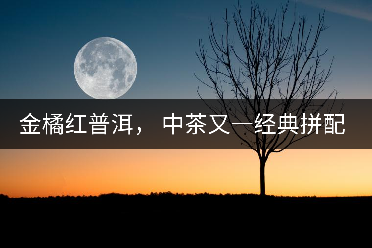 金橘紅普洱， 中茶又一經(jīng)典拼配力作，值得期待！