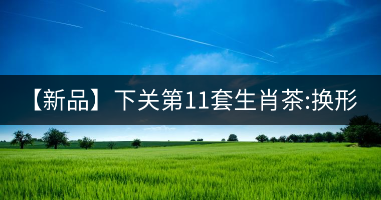 【新品】下關第11套生肖茶:換形 提質 減量