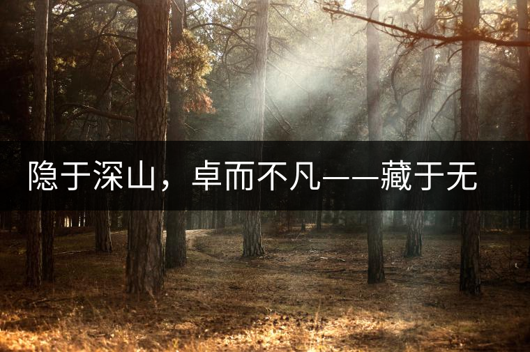 隱于深山,卓而不凡——藏于無量余脈的困鹿貢香 隱于深山,卓而不凡——藏于無量余脈的困鹿貢香