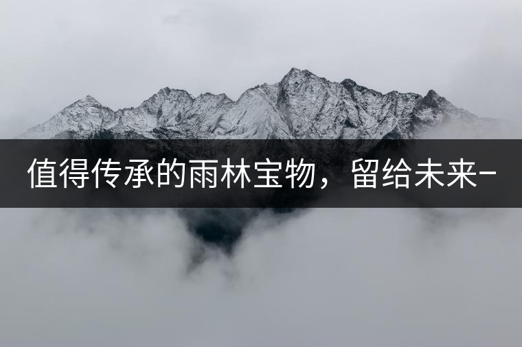 值得傳承的雨林寶物，留給未來一點“回甘”！