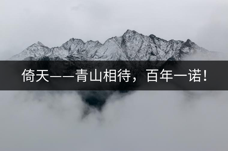 倚天——青山相待，百年一諾！