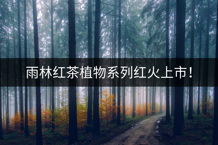 雨林紅茶植物系列紅火上市！