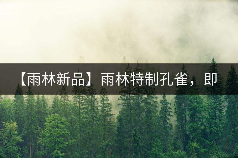 【雨林新品】雨林特制孔雀，即將妙態(tài)綻放