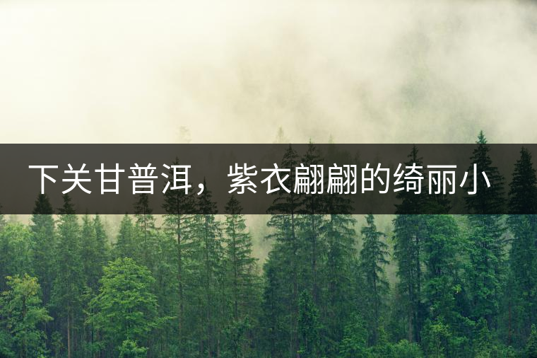 下關(guān)甘普洱，紫衣翩翩的綺麗小餅