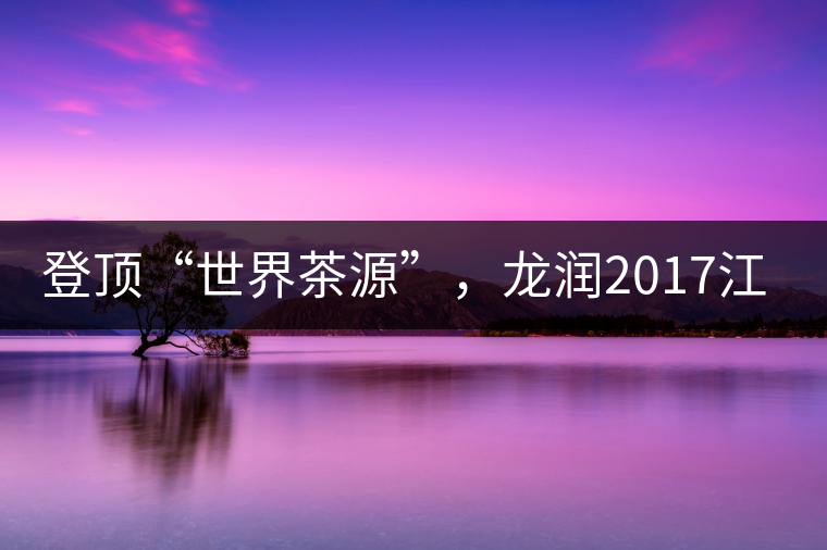 登頂“世界茶源”，龍潤2017江城茶上市啦！