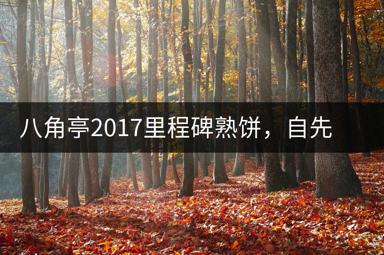 八角亭2017里程碑熟餅，自先發(fā)酵而后愛人