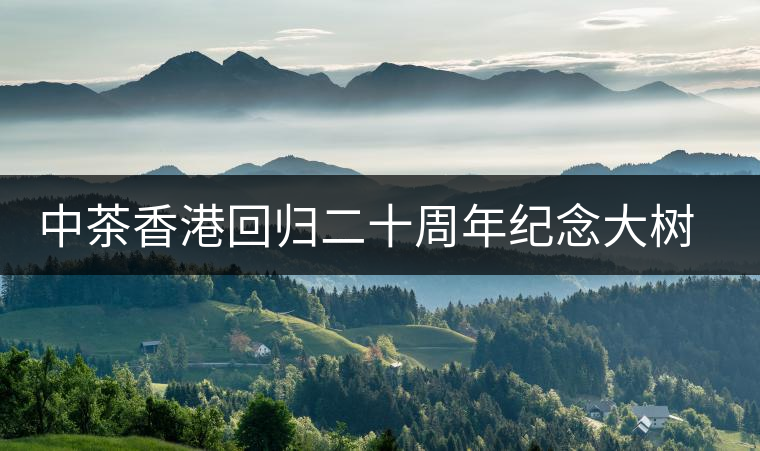 中茶香港回歸二十周年紀(jì)念大樹普洱茶上市 中茶香港回歸二十周年紀(jì)念大樹普洱茶上市