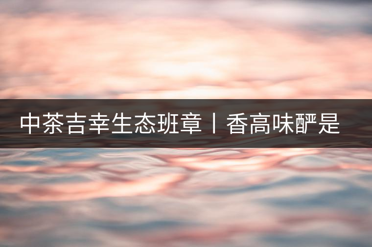 中茶吉幸生態(tài)班章丨香高味釅是王者，且品且珍惜