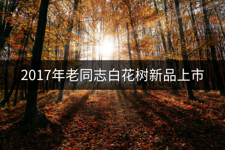 2017年老同志白花樹新品上市