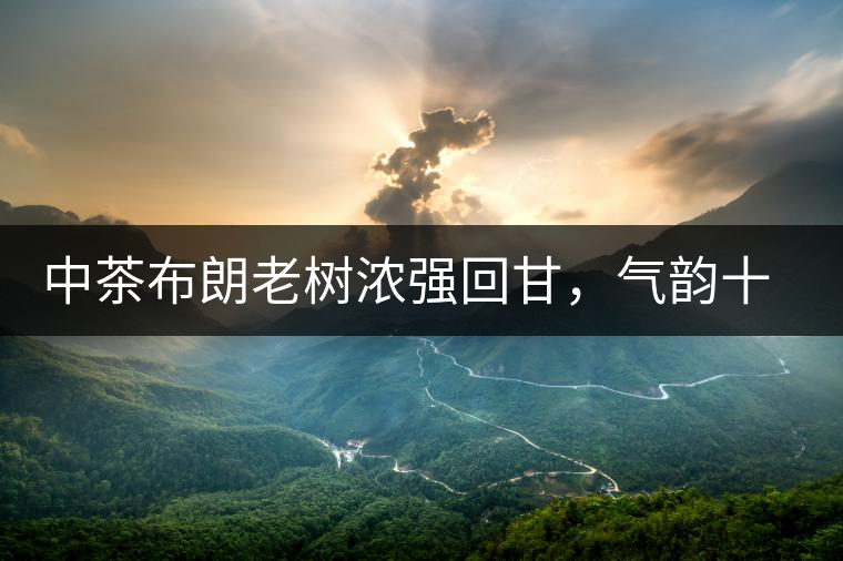 中茶布朗老樹濃強回甘，氣韻十足