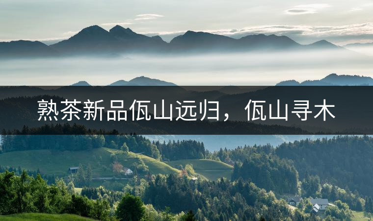熟茶新品佤山遠(yuǎn)歸，佤山尋木