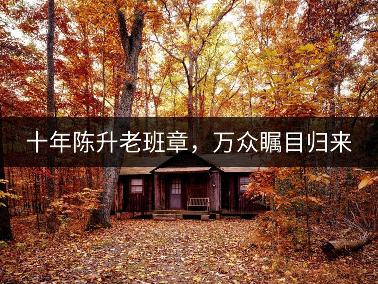 十年陳升老班章，萬眾矚目歸來