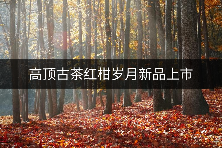 高頂古茶紅柑歲月新品上市 高頂古茶紅柑歲月新品上市