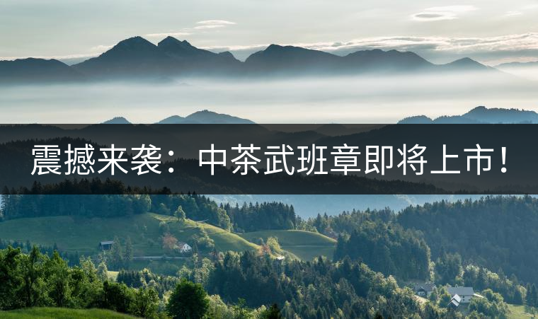 震撼來襲：中茶武班章即將上市！