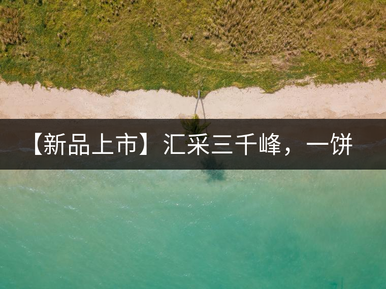 【新品上市】匯采三千峰，一餅群山鑄——群峰之峻！