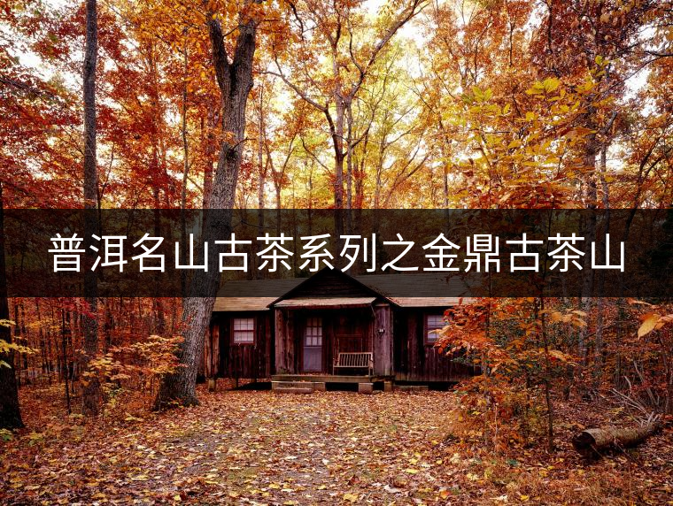 普洱名山古茶系列之金鼎古茶山 普洱名山古茶系列之金鼎古茶山