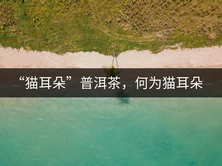 “貓耳朵”普洱茶，何為貓耳朵？
