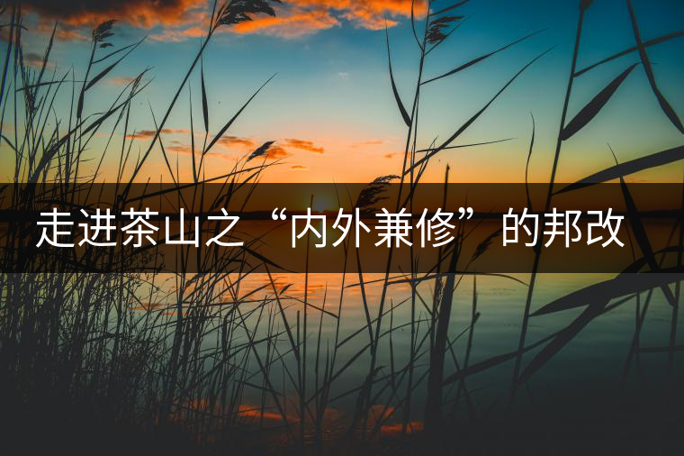 走進茶山之“內外兼修”的邦改村