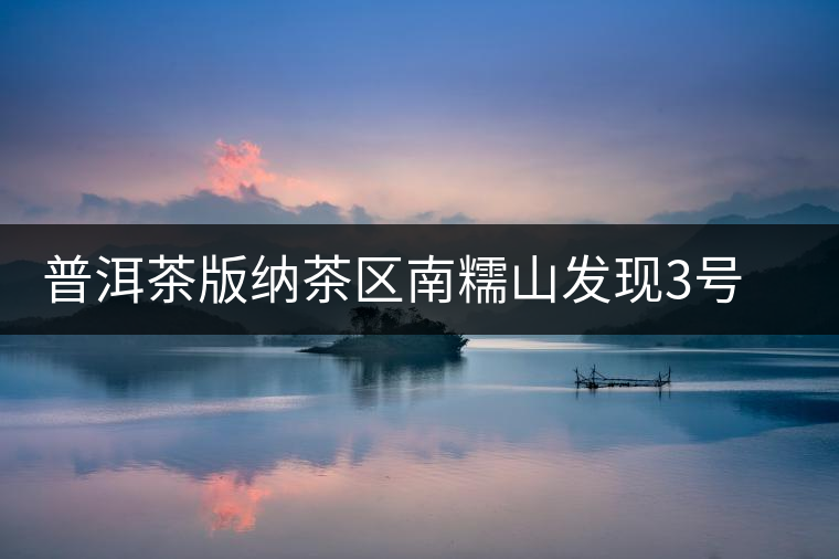 普洱茶版納茶區(qū)南糯山發(fā)現(xiàn)3號大茶樹 普洱茶版納茶區(qū)南糯山發(fā)現(xiàn)3號大茶樹