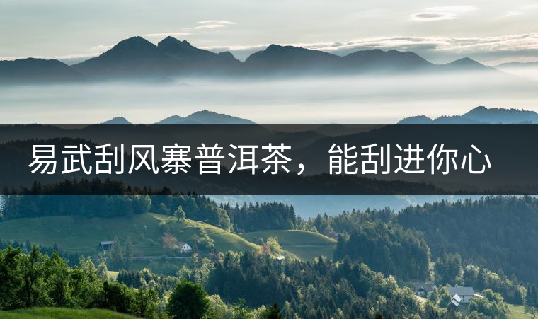 易武刮風(fēng)寨普洱茶，能刮進(jìn)你心中的一道風(fēng)
