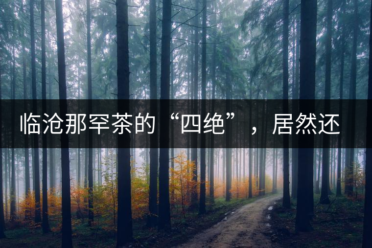 臨滄那罕茶的“四絕”，居然還沒說到它的品質(zhì)