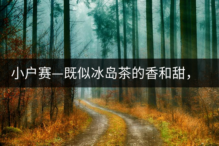 小戶賽—既似冰島茶的香和甜，又有其獨(dú)特的純和凈