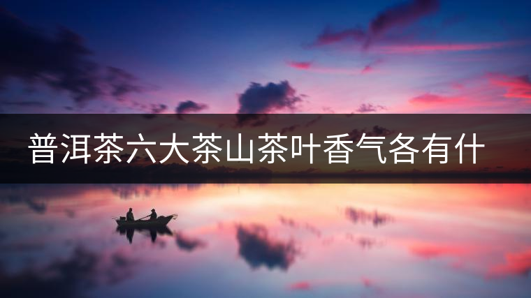 普洱茶六大茶山茶葉香氣各有什么特點(diǎn)？