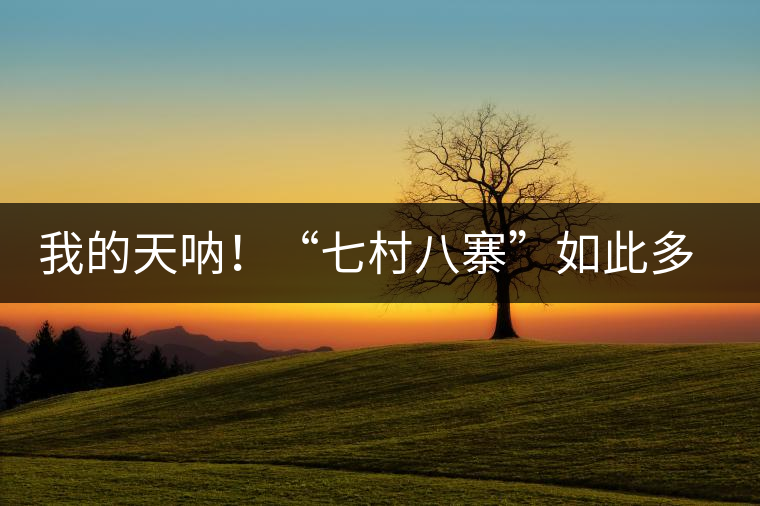 我的天吶！“七村八寨”如此多的易武茶，品質(zhì)特色如何分辨？