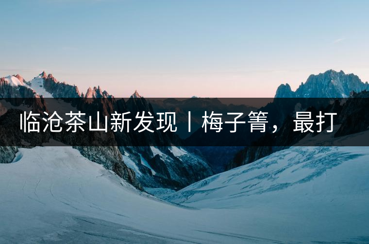 臨滄茶山新發(fā)現(xiàn)丨梅子箐，最打動自己的茶山