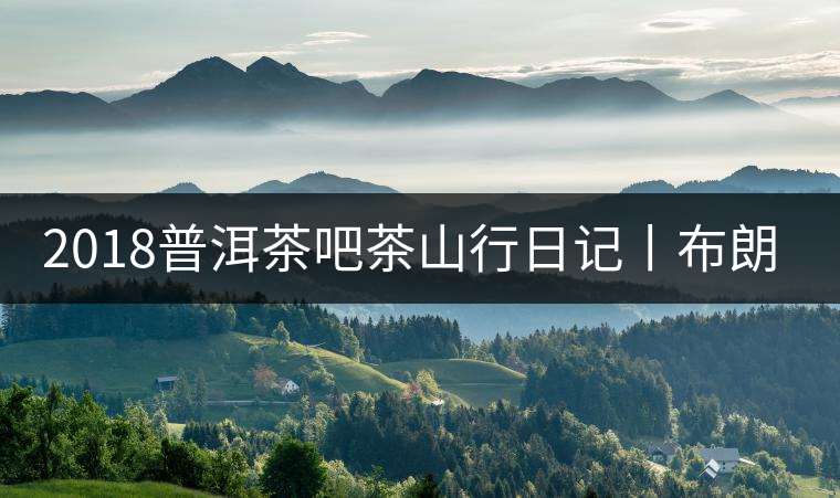 2018普洱茶吧茶山行日記丨布朗山帕點古茶園（二）