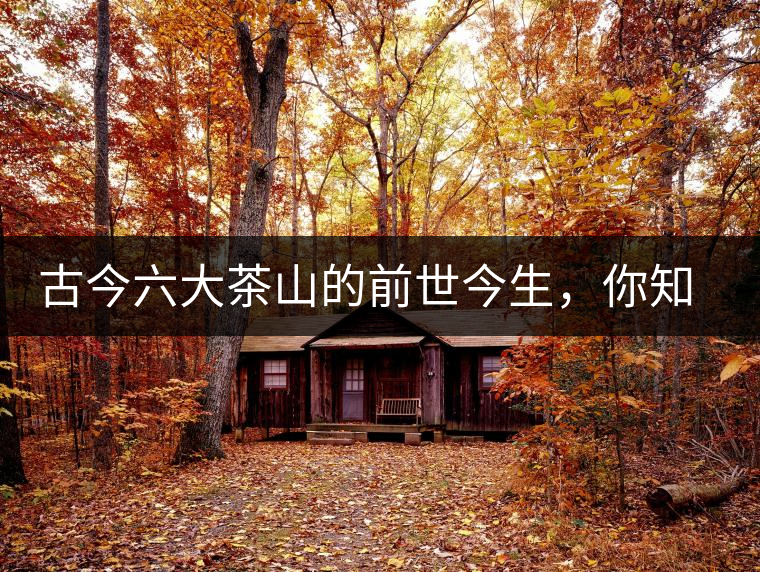 古今六大茶山的前世今生，你知多少？