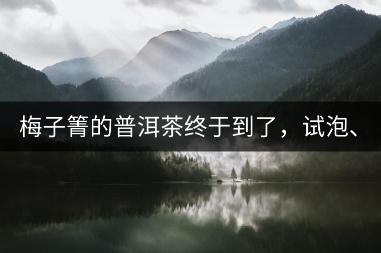 梅子箐的普洱茶終于到了，試泡、、、