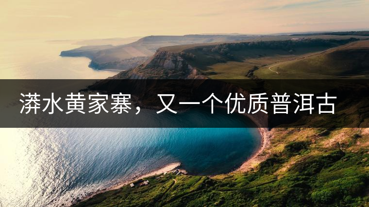 漭水黃家寨，又一個優(yōu)質普洱古樹群落