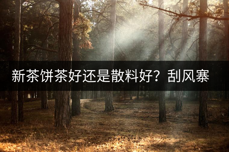 新茶餅茶好還是散料好？刮風(fēng)寨開湯評測