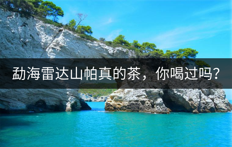 勐海雷達(dá)山帕真的茶，你喝過(guò)嗎？