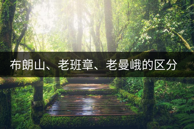 布朗山、老班章、老曼峨的區(qū)分和鑒別