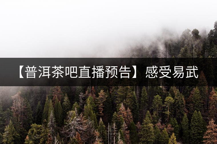 【普洱茶吧直播預(yù)告】感受易武刮風寨普洱茶的轉(zhuǎn)化(第十四期) 【普洱茶吧直播預(yù)告】感受易武刮風寨普洱茶的轉(zhuǎn)化(第十四期)