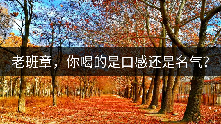 老班章，你喝的是口感還是名氣？