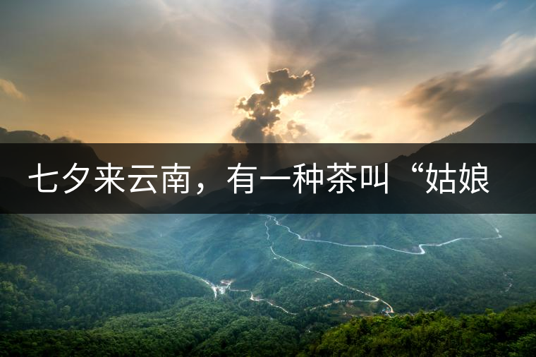 七夕來(lái)云南，有一種茶叫“姑娘茶”，也許你就能遇上