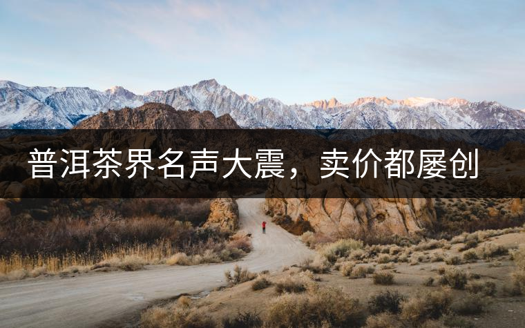 普洱茶界名聲大震，賣價都屢創(chuàng)新高竟然是它