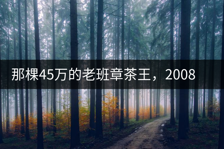 那棵45萬的老班章茶王，2008年是什么樣子的？