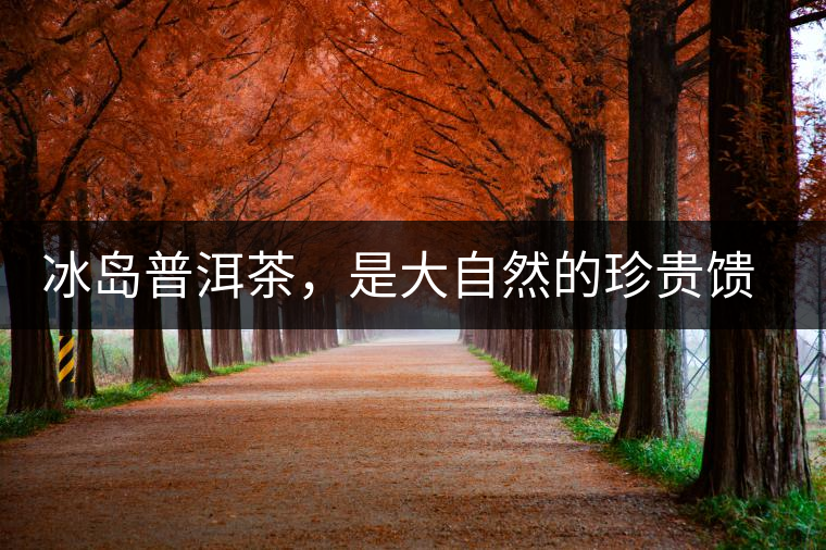 冰島普洱茶，是大自然的珍貴饋贈