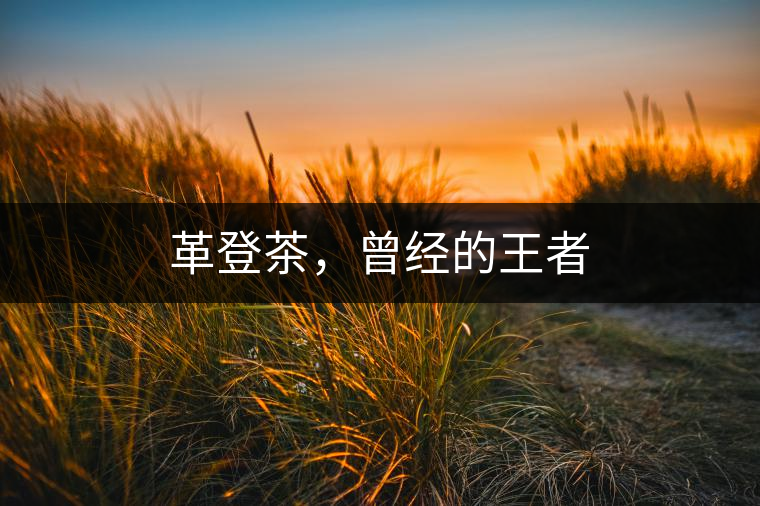 革登茶，曾經(jīng)的王者