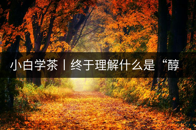 小白學(xué)茶丨終于理解什么是“醇厚、耐泡，回甘”了