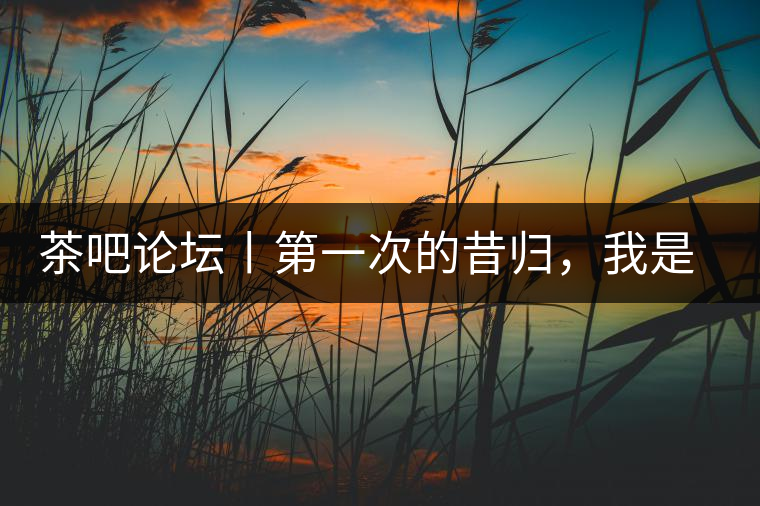 茶吧論壇丨第一次的昔歸，我是這樣喝到的