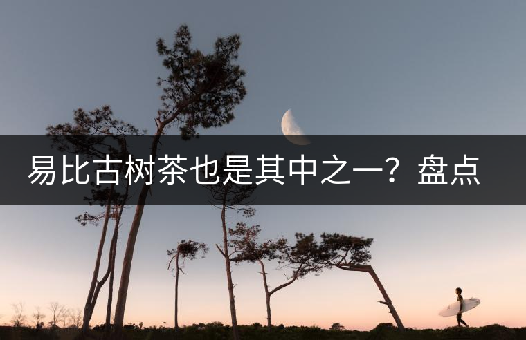 易比古樹茶也是其中之一？盤點當下易武最火的十大古樹茶！
