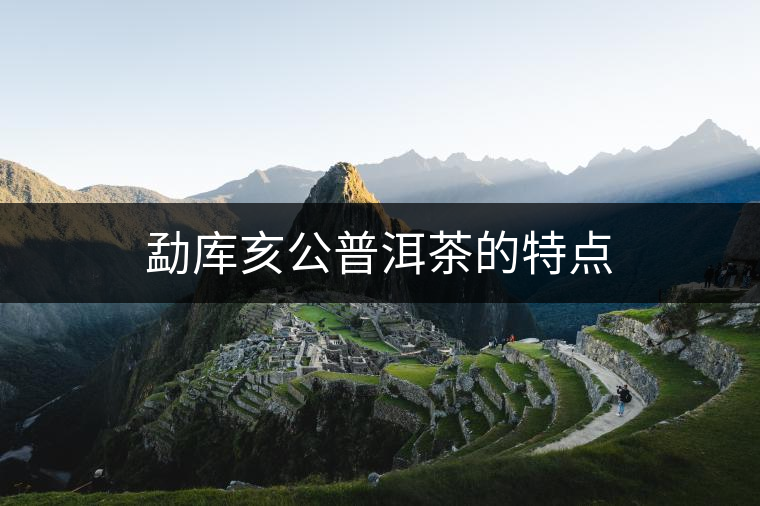 勐庫亥公普洱茶的特點 勐庫亥公普洱茶的特點
