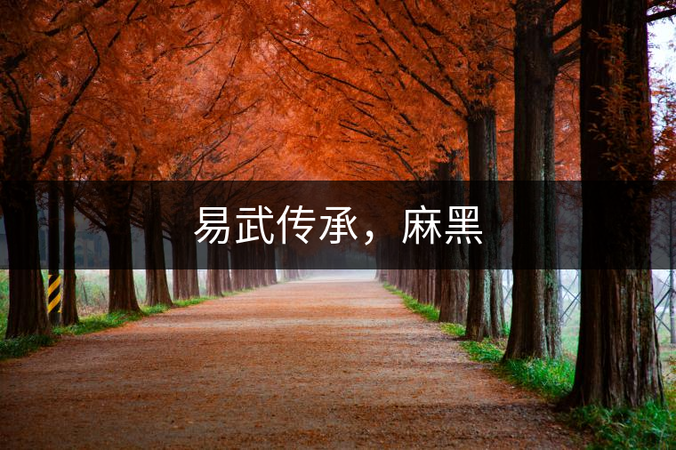 易武傳承，麻黑